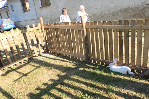 Jurmak2011 (172).JPG